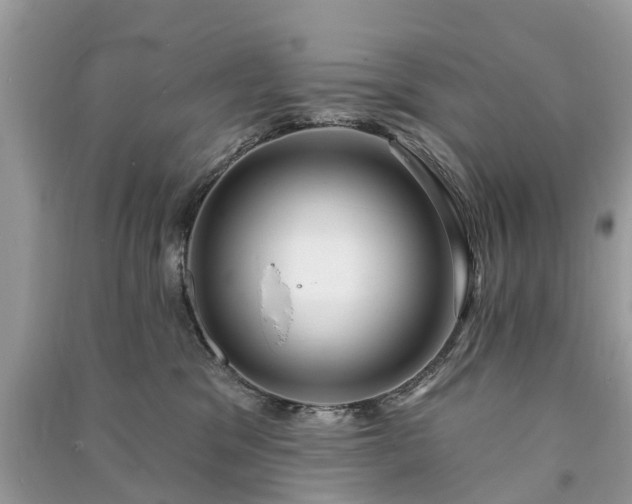 X0000091000329200708091545