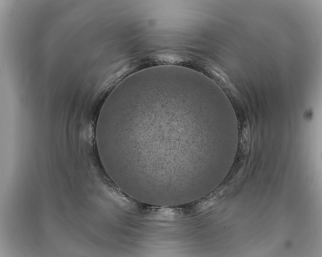 X0000091000330200708091545