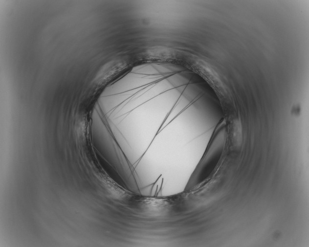 X0000091000333200708091545