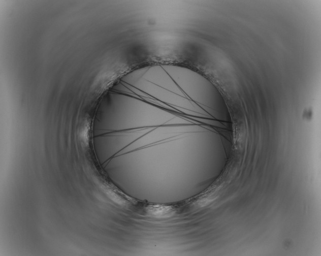 X0000091000334200708091545