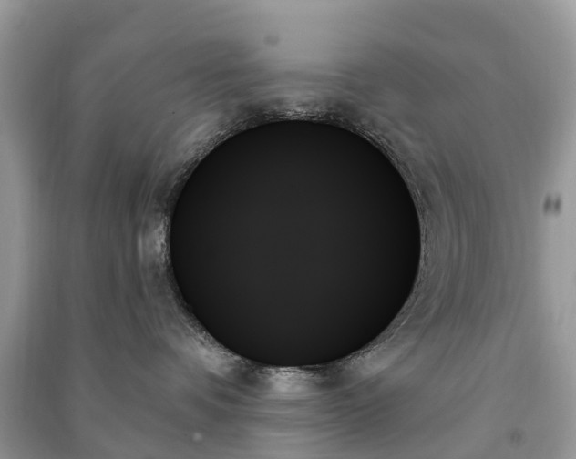 X0000091000336200708091545