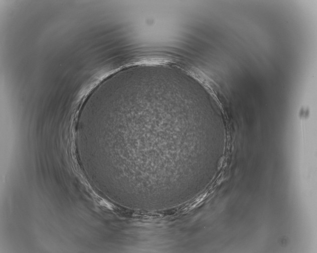 X0000091000337200708091544