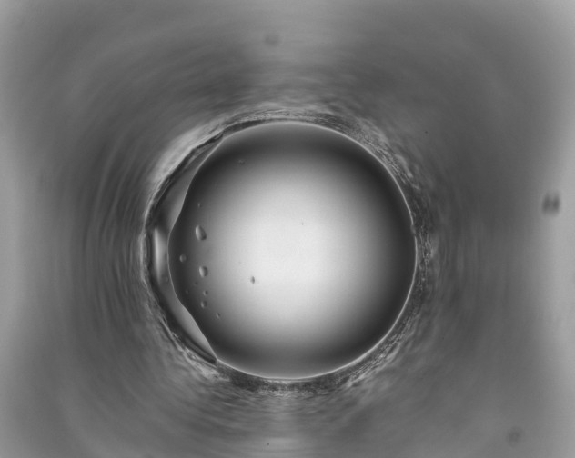 X0000091000340200708091544