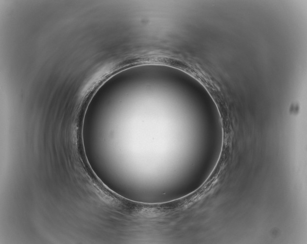 X0000091000341200708091544