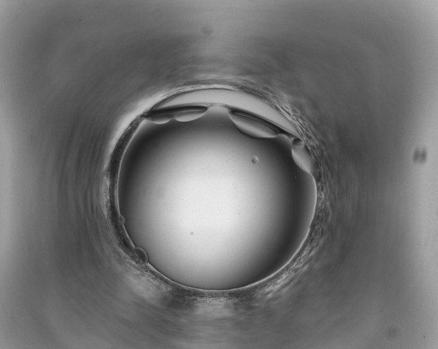 X0000091000342200708091544