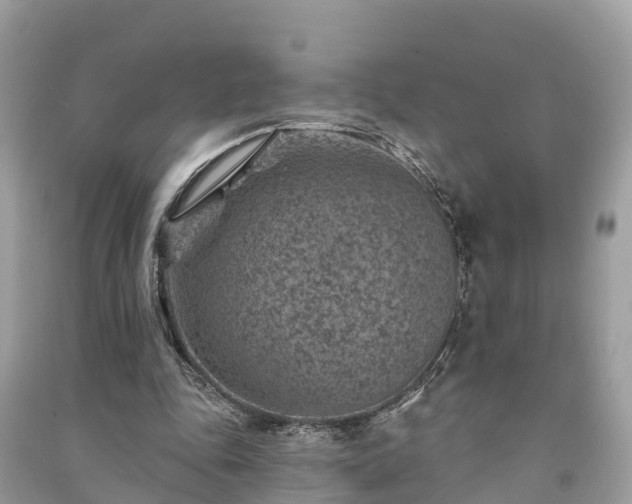 X0000091000343200708091545