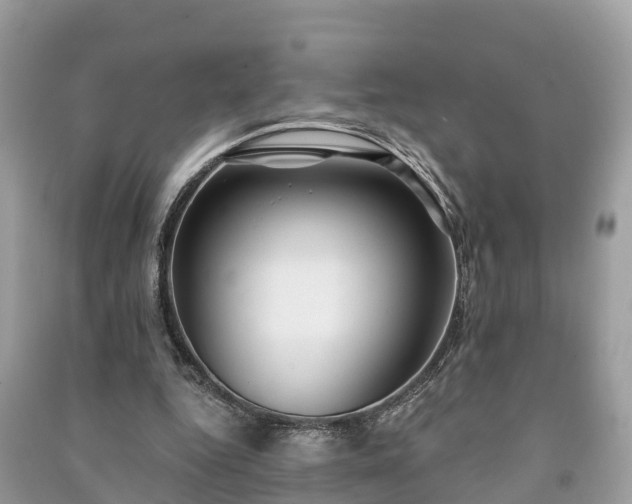 X0000091000344200708091545