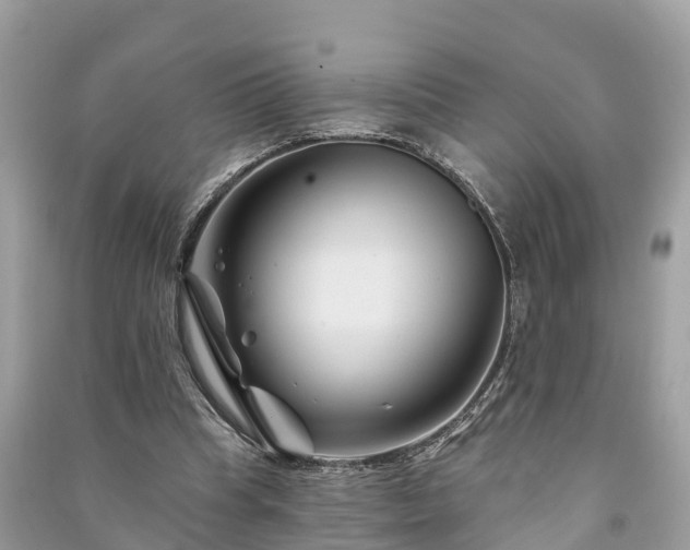 X0000091000345200708091545