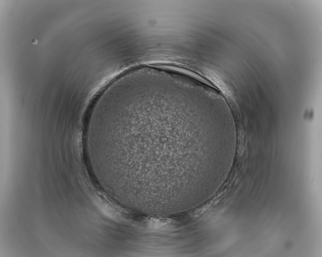 X0000091000346200708091545
