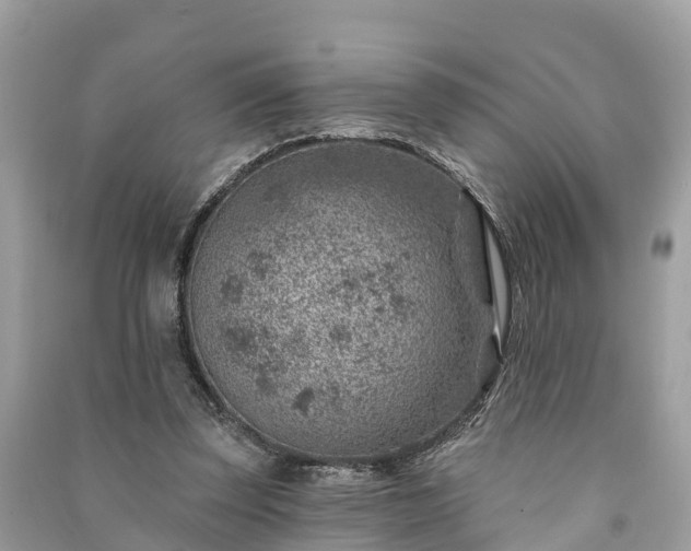 X0000091000347200708091545
