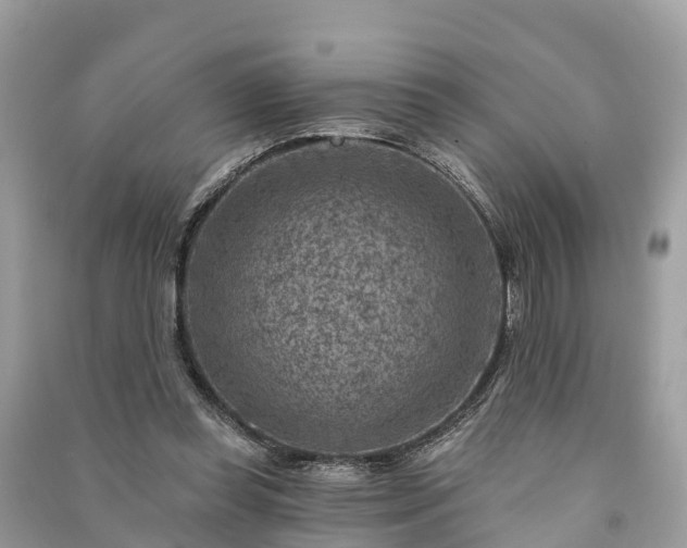 X0000091000349200708091545