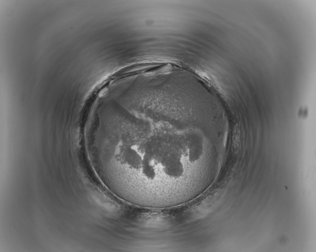 X0000091000351200708091545