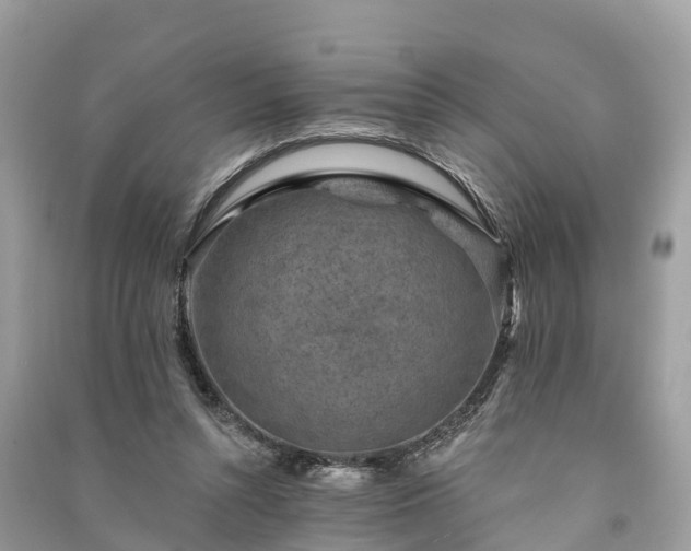 X0000091000352200708091545