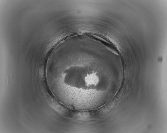 X0000091000353200708091545