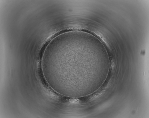 X0000091000355200708091545