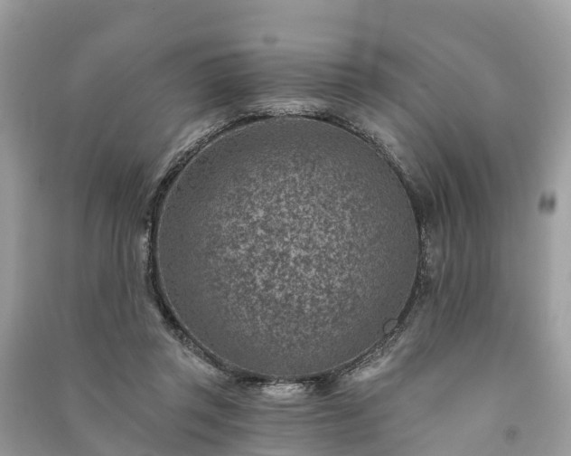 X0000091000357200708091545