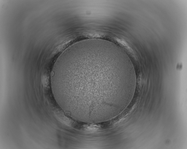 X0000091000359200708091545
