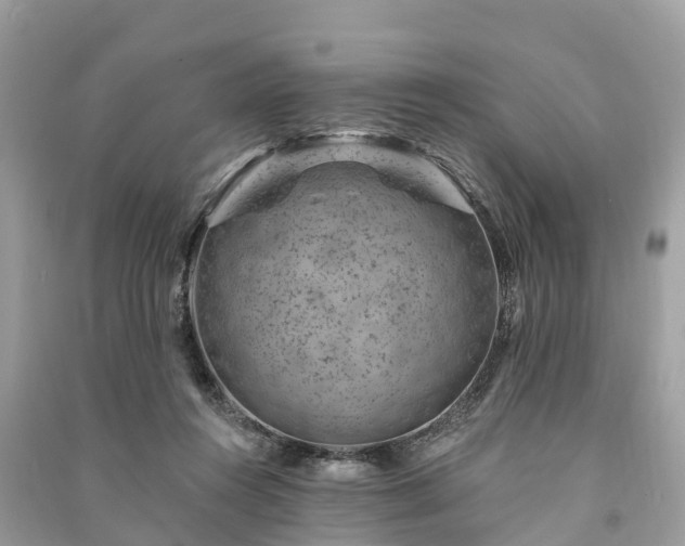 X0000091000360200708091545