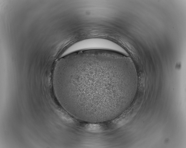 X0000091000361200708091545