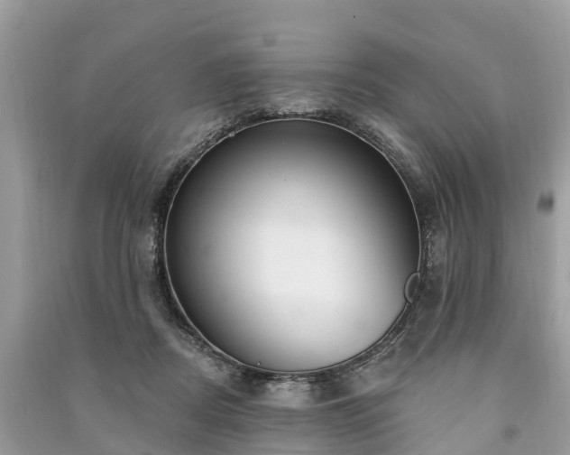 X0000091000362200708091545