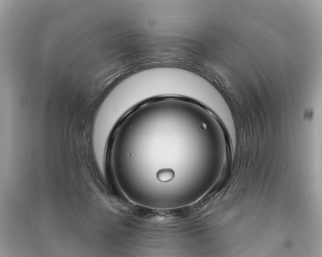 X0000091000364200708091545