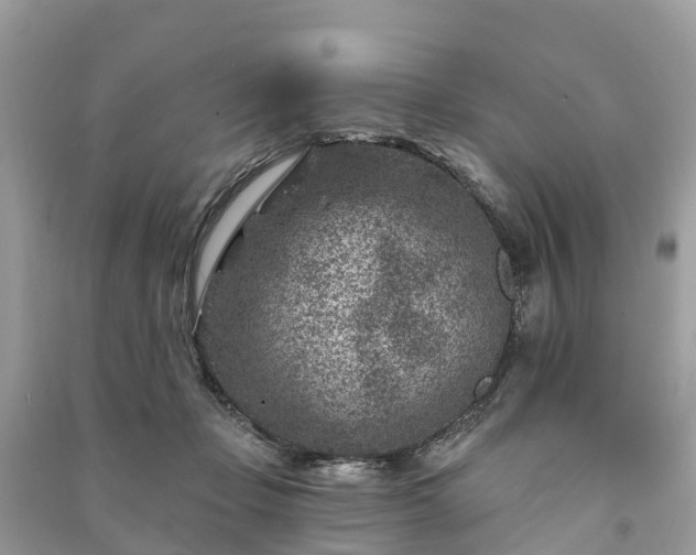 X0000091000365200708091545