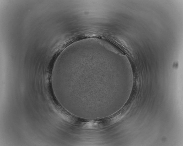 X0000091000366200708091545