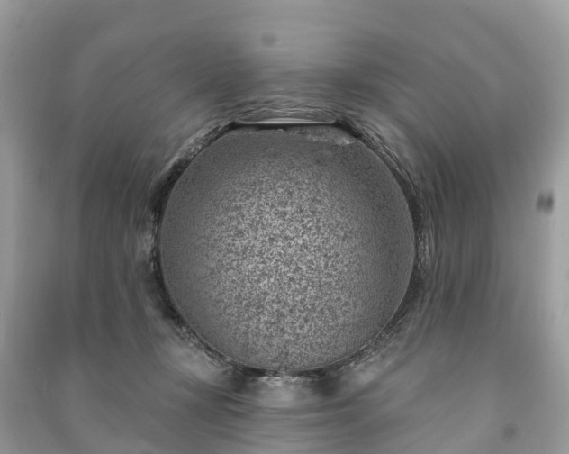 X0000091000367200708091545