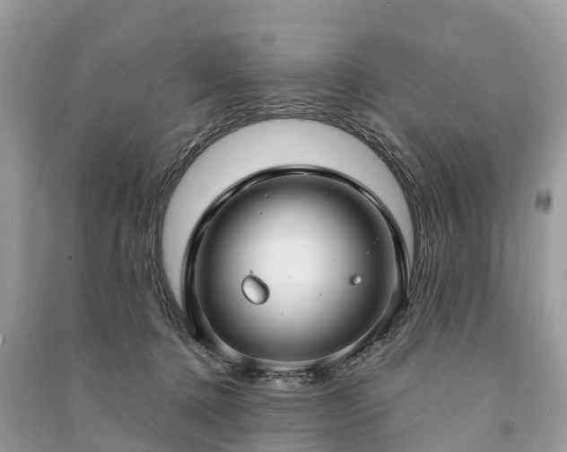 X0000091000368200708091545
