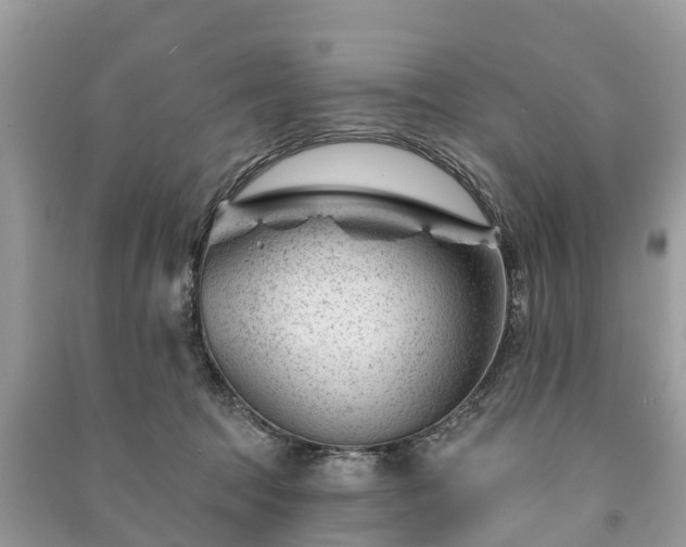 X0000091000369200708091545