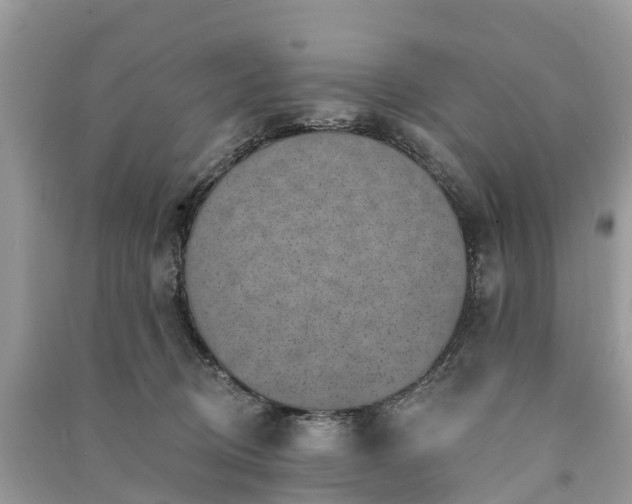 X0000091000370200708091545