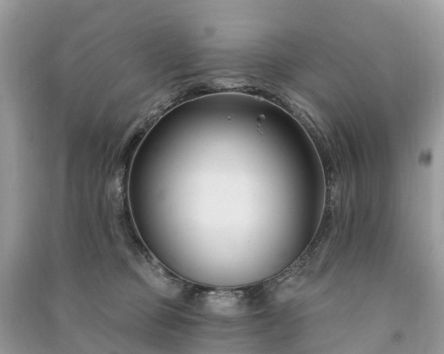 X0000091000373200708091545