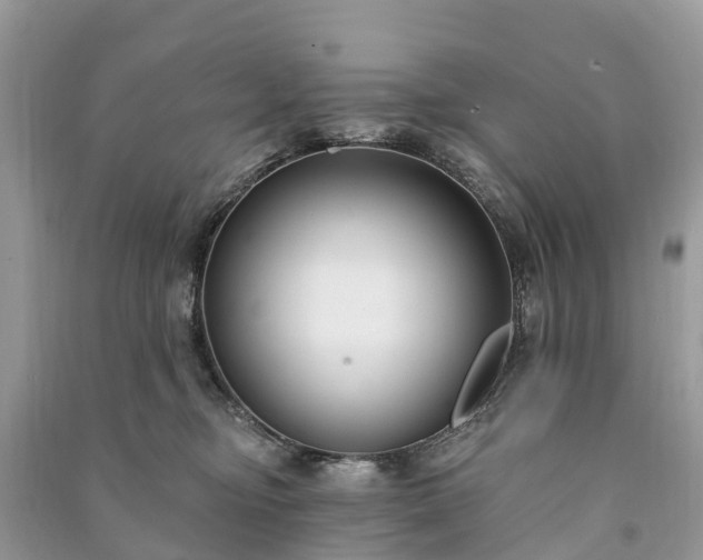 X0000091000374200708091545