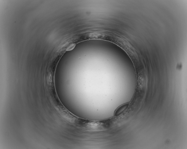 X0000091000375200708091545