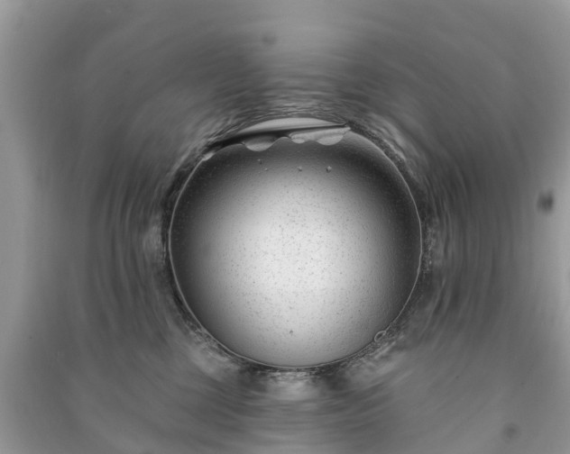 X0000091000377200708091545