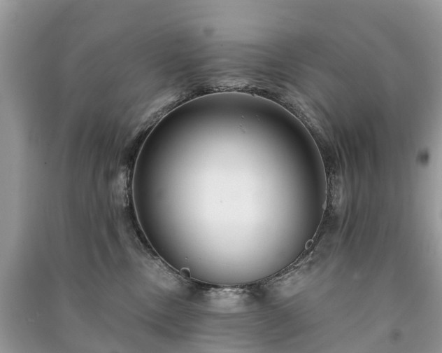 X0000091000378200708091545