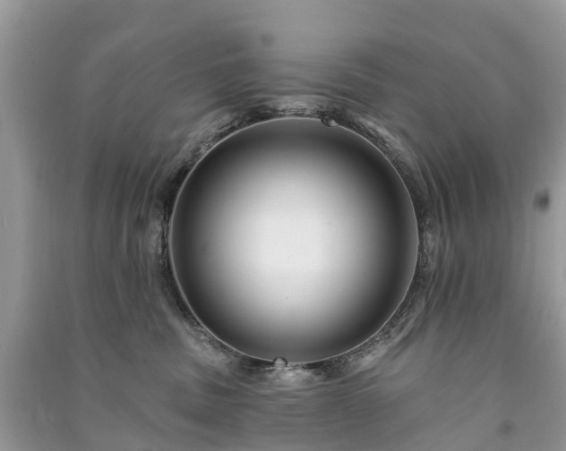 X0000091000379200708091545