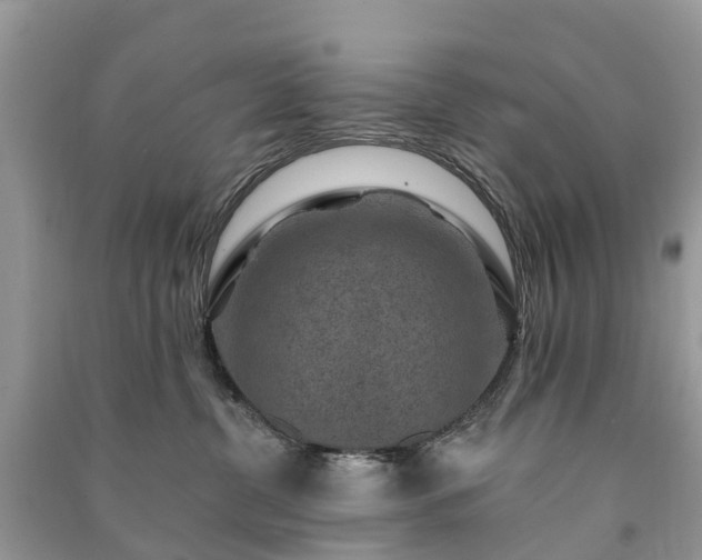 X0000091000380200708091545