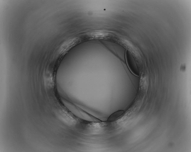 X0000091000381200708091545