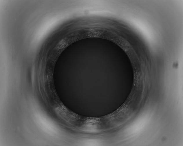 X0000091000382200708091545