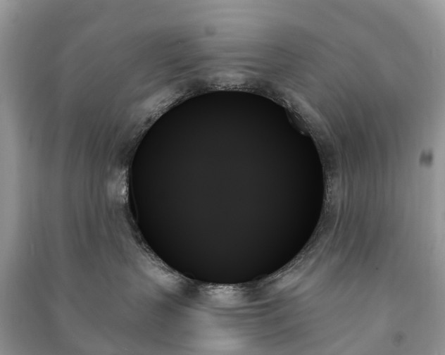 X0000091000383200708091545