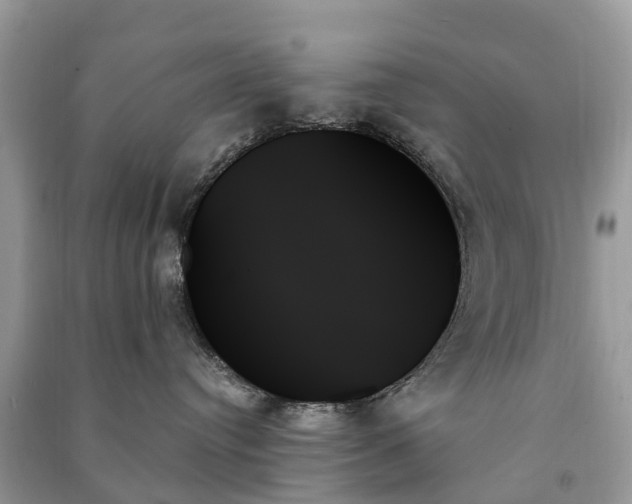 X0000091000384200708091545