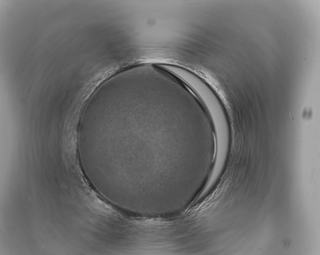 X0000091000385200708091544