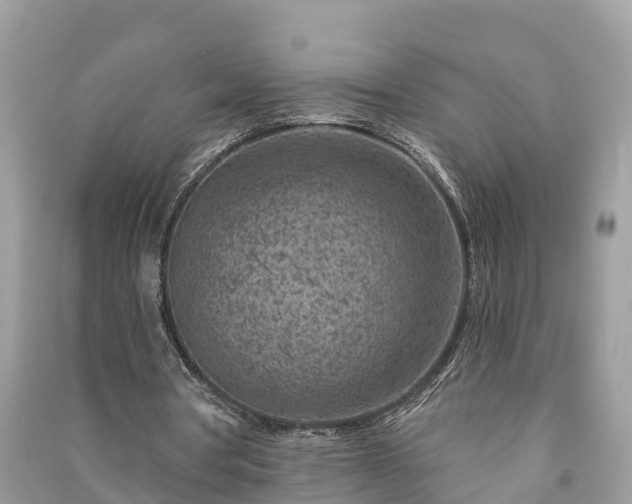 X0000091000386200708091544