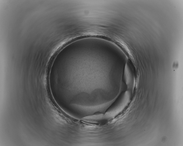 X0000091000387200708091544