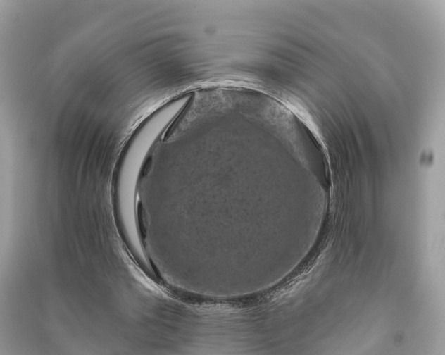 X0000091000389200708091544