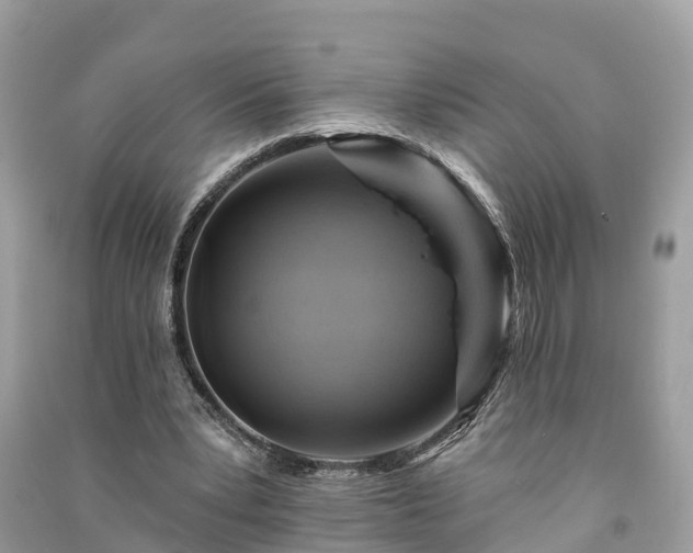 X0000091000391200708091544