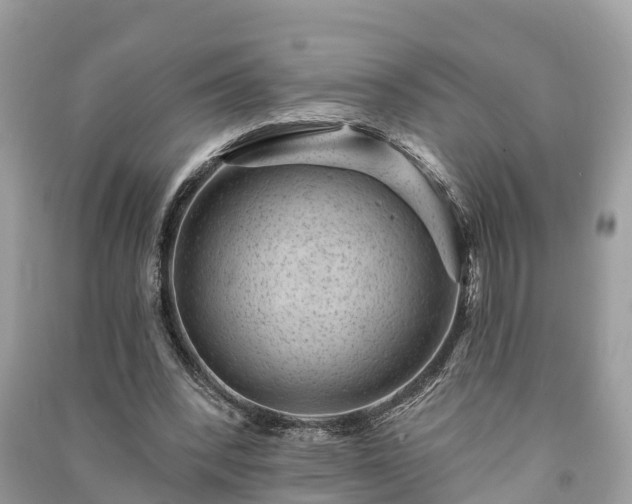 X0000091000392200708091544