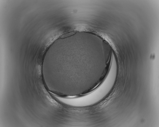 X0000091000393200708091544