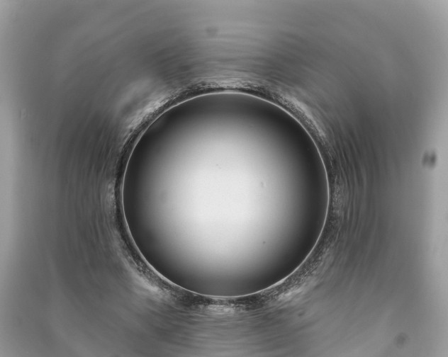 X0000091000394200708091544